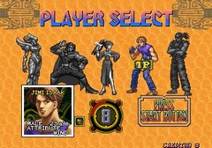 Gaia Crusaders sur Arcade